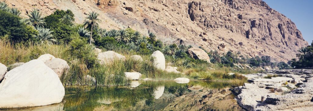 En bild på Wadi Tiwi