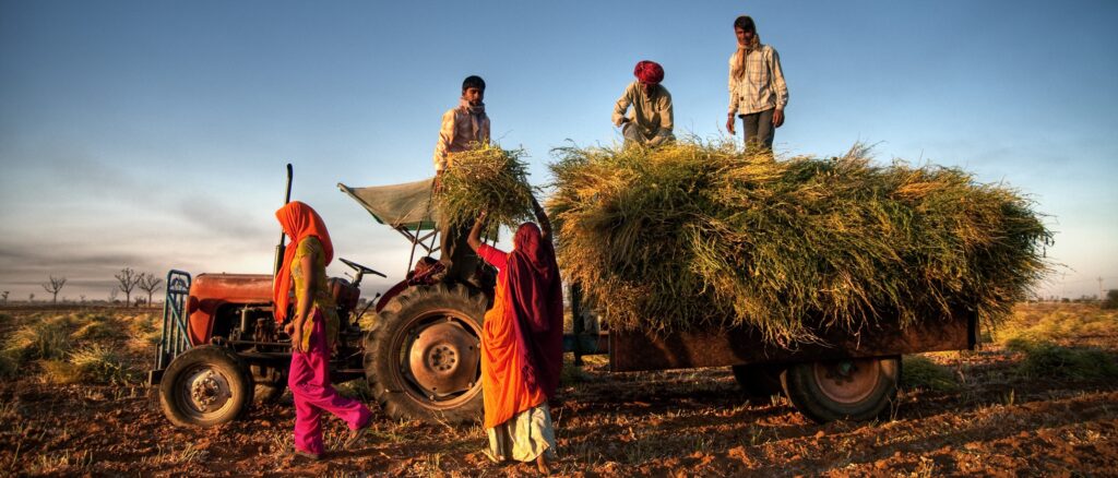 En bild på bönder i Jaipur