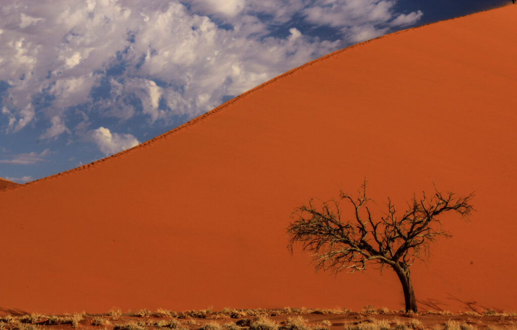 Rejser og safari i Namibia